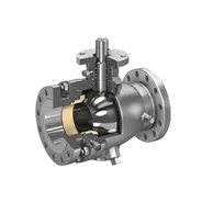 Trunnion Mounted Ball Valve