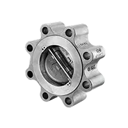 Dual Plate Check Valve
