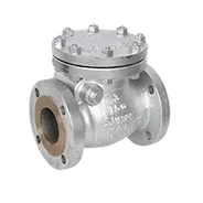 Swing Check Valve